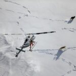 Ronan Donovan Instagram - Over 500 wolves have been tracked using collars since their reintroduction to Yellowstone National Park in 1995 – a result of one of the most detailed long-term studies of wolves to date. Using these collars, researchers can study pack movements, size, composition, prey selection and pup survival. Learn more about what it takes to track wild wolves while visiting the @NatGeoMuseum and @WildlifertJH exhibition Wolves: Photography by Ronan Donovan. Now open at the Museum until February 11! Photography by @ronan_donovan, National Geographic #ExperienceWonder #NationalGeographic #RonanDonovan #Wolves #Wildlife #MuseumofWildlifeArt #NationalGeographicMuseum High Desert Museum