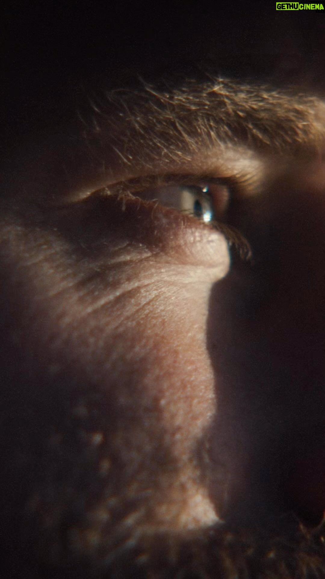 Ronan Donovan Instagram - From an early age, @ronan_donovan connected with nature and it became his escape from the confusion of modern society. Through his camera lens, he tells the story of animals that might otherwise go untold and advocates for conservation. #jackwolfskin #welivetodiscover