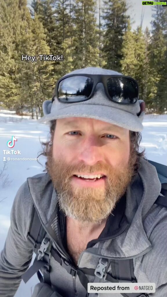 Ronan Donovan Instagram - I made my TikTok debut on the @natgeo account with some animal tracking in Montana. Montana, USA