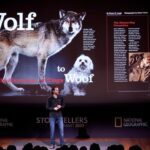 Ronan Donovan Instagram - We were stoked to have @ronan_donovan on the podcast recently to discuss his incredible life, work, and educational pursuits! The episode releases this Friday on your favorite podcast platform including @applepodcasts @spotify • Catch Kingdom of the White Wolf on @disneyplus @natgeo • Visit his exhibit at the High Desert 🏜️ Museum in Bend, Oregon here: https://highdesertmuseum.org/wolves/ • #wolf #wolves #wolfconnection #podcast #podcasting #applepodcasts #spotify #film #photographer #education #whitewolf #oregon #information #disney #natgeo #share #listen