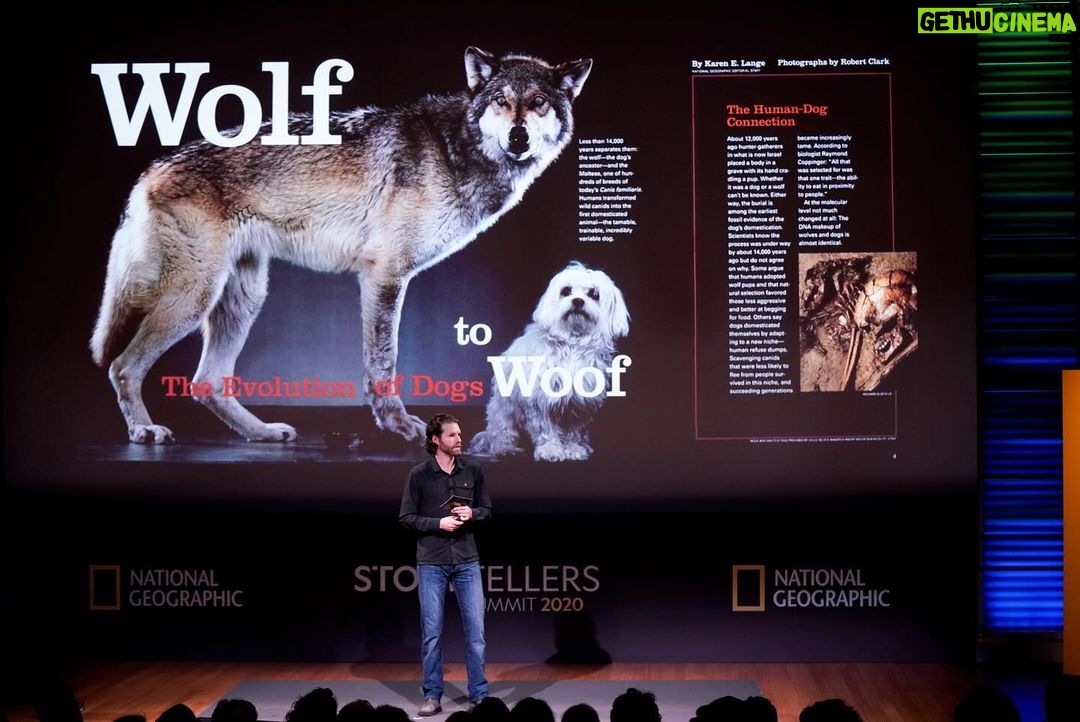 Ronan Donovan Instagram - We were stoked to have @ronan_donovan on the podcast recently to discuss his incredible life, work, and educational pursuits! The episode releases this Friday on your favorite podcast platform including @applepodcasts @spotify β’ Catch Kingdom of the White Wolf on @disneyplus @natgeo β’ Visit his exhibit at the High Desert ποΈ Museum in Bend, Oregon here: https://highdesertmuseum.org/wolves/ β’ #wolf #wolves #wolfconnection #podcast #podcasting #applepodcasts #spotify #film #photographer #education #whitewolf #oregon #information #disney #natgeo #share #listen
