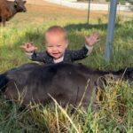 Ronda Rousey Instagram – Bonsai had a surprise for us this morning – meet Brisket! Here’s the cutest video ever recorded of Pō meeting our newest addition to @browseyacres