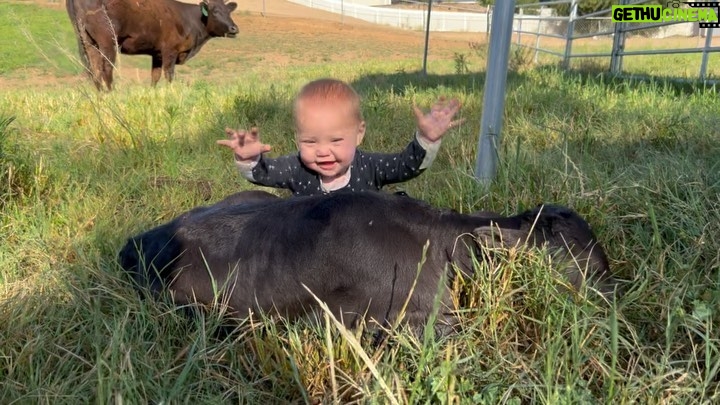 Ronda Rousey Instagram - Bonsai had a surprise for us this morning - meet Brisket! Here’s the cutest video ever recorded of Pō meeting our newest addition to @browseyacres