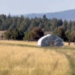 Ronda Rousey Instagram - We’re here at @browseyacresoregon where you can see our #BrowseyBirds in action! This is how they stimulate growth and add nutrients to the soil that then feeds our wagyu. This scene isn’t exactly how we usually feed our herd though, we rotationally graze our animals to sequester carbon and rejuvenate our soil - but our American wagyu weeners (up to 8 month old half angus/half wagyu) escaped their acre of fresh grass for today and are helping themselves to the whole pasture 😅 it’s gunna be a fun job rounding them (and their pet sheep) up tomorrow - stay tuned! And if you wanna vote with your dollar to support climate change combatting regeneratively pasture raised beef and poultry check the link in my bio 🐓🐂🙏🏼❤️