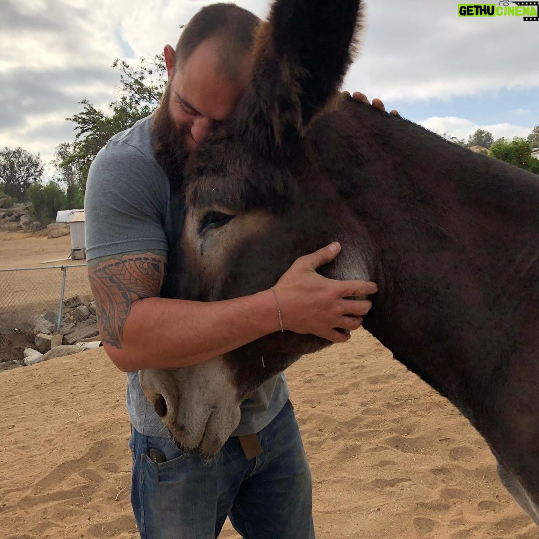 Ronda Rousey Instagram - Happy Birthday to the Love of My Life, the man who changed my world 🌎 the bravest, strongest most hard working kind and loving person on the planet❤️my Everything and more🥰 I Love You Travis Browne😍