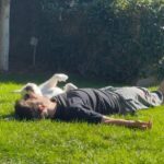 Ronen Rubinstein Instagram – Just a regular day 🐾