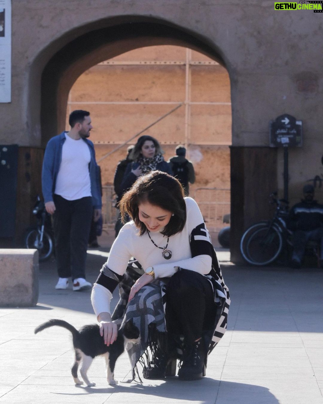 Rose Van Ginkel Instagram - Marrakech, Morocco