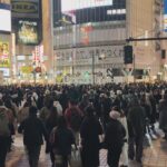 Rose Van Ginkel Instagram - Japan