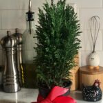 Rosie Perez Instagram - Sooo... My hubby @erichazenyc got us a Christmas tree 🎄😳😂. Thanks honey😘! Happy Holidays Everyone!#CharlieBrownChristmasTree #LoveIt #ItsTheThoughtThatCounts