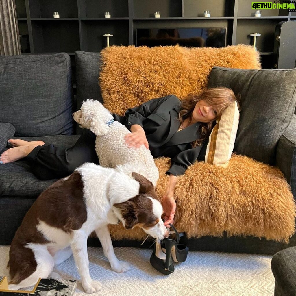 Rosie Perez Instagram - Just what I needed. Loving up Karma and Teddy Bear at Ileana’s after a long great couple of weeks! Love these little guys. Yay! Happy Friday!