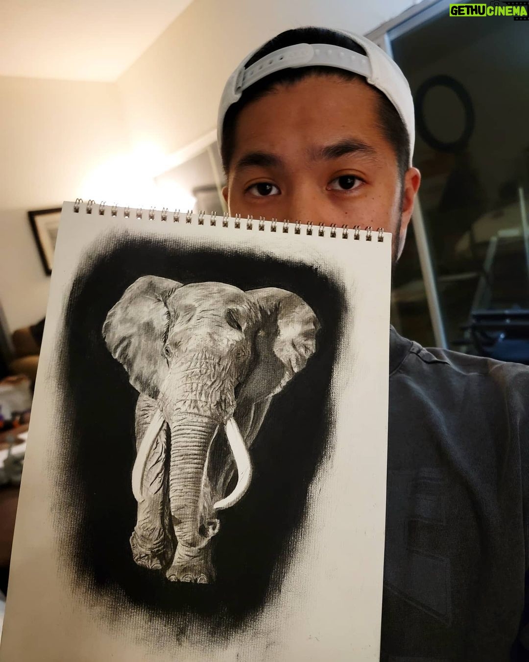 Ross Butler - 463K Likes - This was hard. Finished at 2:30am after working on it obsessively over the last four days. I am actually really proud of myself with this one. I was intimated by charcoal up until last week, but sometimes you just gotta risk it for the biscuit. Have patience and confidence in yourself and you can learn anything. Perfectionism ironically leads you away from being the more perfect you. And yeah, I like elephants, so what. ❤️