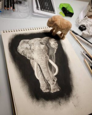 Ross Butler Instagram - This was hard. Finished at 2:30am after working on it obsessively over the last four days. I am actually really proud of myself with this one. I was intimated by charcoal up until last week, but sometimes you just gotta risk it for the biscuit. Have patience and confidence in yourself and you can learn anything. Perfectionism ironically leads you away from being the more perfect you. And yeah, I like elephants, so what. ❤️