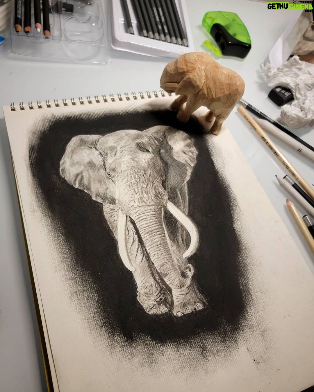 Ross Butler - 463K Likes - This was hard. Finished at 2:30am after working on it obsessively over the last four days. I am actually really proud of myself with this one. I was intimated by charcoal up until last week, but sometimes you just gotta risk it for the biscuit. Have patience and confidence in yourself and you can learn anything. Perfectionism ironically leads you away from being the more perfect you. And yeah, I like elephants, so what. ❤️