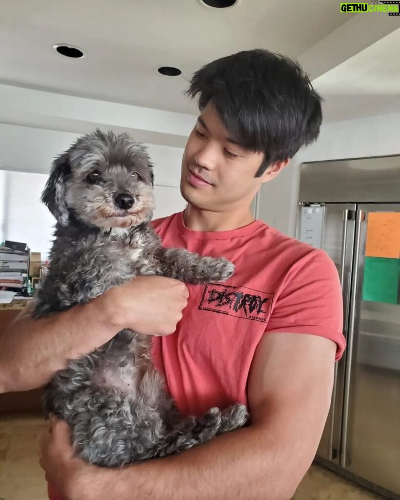 Ross Butler Instagram - I'll miss you forever, Fraggles. Fraggles was the last of his line. Over the last few years, we lost the best family of dogs. Nishky, Mama, Benny, Kong, and Fraggles, you all changed my life. They were with me from when I first came to LA and started my new life. They helped me get through a lot. I'll always be grateful. Bleeeehhhh