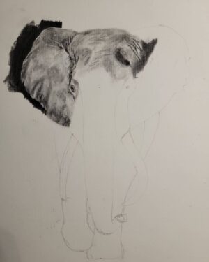 Ross Butler Instagram - This was hard. Finished at 2:30am after working on it obsessively over the last four days. I am actually really proud of myself with this one. I was intimated by charcoal up until last week, but sometimes you just gotta risk it for the biscuit. Have patience and confidence in yourself and you can learn anything. Perfectionism ironically leads you away from being the more perfect you. And yeah, I like elephants, so what. ❤️
