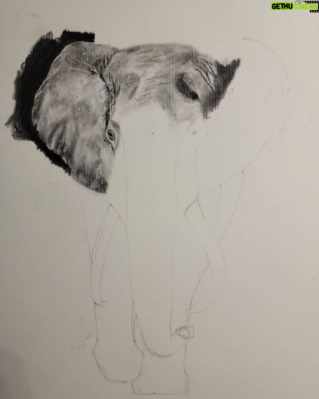Ross Butler - 463K Likes - This was hard. Finished at 2:30am after working on it obsessively over the last four days. I am actually really proud of myself with this one. I was intimated by charcoal up until last week, but sometimes you just gotta risk it for the biscuit. Have patience and confidence in yourself and you can learn anything. Perfectionism ironically leads you away from being the more perfect you. And yeah, I like elephants, so what. ❤️