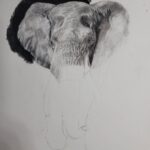 Ross Butler Instagram – This was hard. Finished at 2:30am after working on it obsessively over the last four days. I am actually really proud of myself with this one. I was intimated by charcoal up until last week, but sometimes you just gotta risk it for the biscuit. Have patience and confidence in yourself and you can learn anything. Perfectionism ironically leads you away from being the more perfect you. And yeah, I like elephants, so what. ❤️