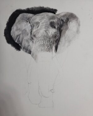 Ross Butler Instagram - This was hard. Finished at 2:30am after working on it obsessively over the last four days. I am actually really proud of myself with this one. I was intimated by charcoal up until last week, but sometimes you just gotta risk it for the biscuit. Have patience and confidence in yourself and you can learn anything. Perfectionism ironically leads you away from being the more perfect you. And yeah, I like elephants, so what. ❤️