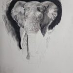 Ross Butler Instagram – This was hard. Finished at 2:30am after working on it obsessively over the last four days. I am actually really proud of myself with this one. I was intimated by charcoal up until last week, but sometimes you just gotta risk it for the biscuit. Have patience and confidence in yourself and you can learn anything. Perfectionism ironically leads you away from being the more perfect you. And yeah, I like elephants, so what. ❤️