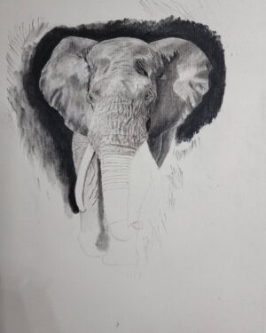 Ross Butler Instagram - This was hard. Finished at 2:30am after working on it obsessively over the last four days. I am actually really proud of myself with this one. I was intimated by charcoal up until last week, but sometimes you just gotta risk it for the biscuit. Have patience and confidence in yourself and you can learn anything. Perfectionism ironically leads you away from being the more perfect you. And yeah, I like elephants, so what. ❤️