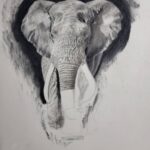 Ross Butler Instagram – This was hard. Finished at 2:30am after working on it obsessively over the last four days. I am actually really proud of myself with this one. I was intimated by charcoal up until last week, but sometimes you just gotta risk it for the biscuit. Have patience and confidence in yourself and you can learn anything. Perfectionism ironically leads you away from being the more perfect you. And yeah, I like elephants, so what. ❤️