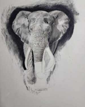 Ross Butler Instagram - This was hard. Finished at 2:30am after working on it obsessively over the last four days. I am actually really proud of myself with this one. I was intimated by charcoal up until last week, but sometimes you just gotta risk it for the biscuit. Have patience and confidence in yourself and you can learn anything. Perfectionism ironically leads you away from being the more perfect you. And yeah, I like elephants, so what. ❤️