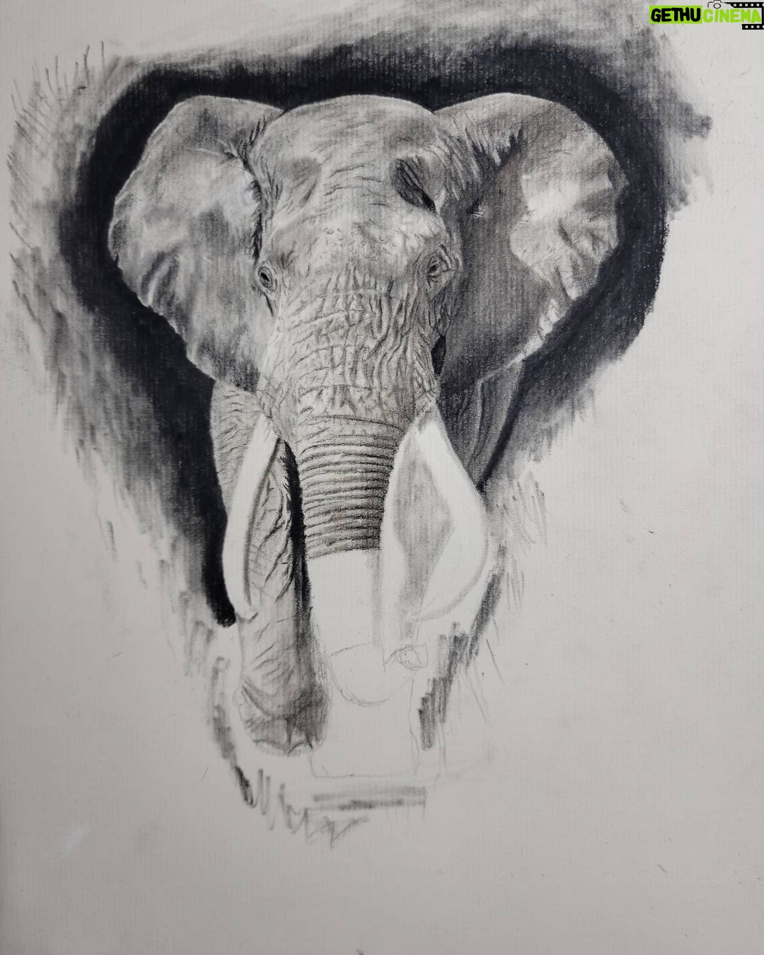 Ross Butler - 463K Likes - This was hard. Finished at 2:30am after working on it obsessively over the last four days. I am actually really proud of myself with this one. I was intimated by charcoal up until last week, but sometimes you just gotta risk it for the biscuit. Have patience and confidence in yourself and you can learn anything. Perfectionism ironically leads you away from being the more perfect you. And yeah, I like elephants, so what. ❤️