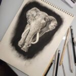 Ross Butler Instagram – This was hard. Finished at 2:30am after working on it obsessively over the last four days. I am actually really proud of myself with this one. I was intimated by charcoal up until last week, but sometimes you just gotta risk it for the biscuit. Have patience and confidence in yourself and you can learn anything. Perfectionism ironically leads you away from being the more perfect you. And yeah, I like elephants, so what. ❤️
