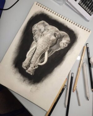 Ross Butler Instagram - This was hard. Finished at 2:30am after working on it obsessively over the last four days. I am actually really proud of myself with this one. I was intimated by charcoal up until last week, but sometimes you just gotta risk it for the biscuit. Have patience and confidence in yourself and you can learn anything. Perfectionism ironically leads you away from being the more perfect you. And yeah, I like elephants, so what. ❤️