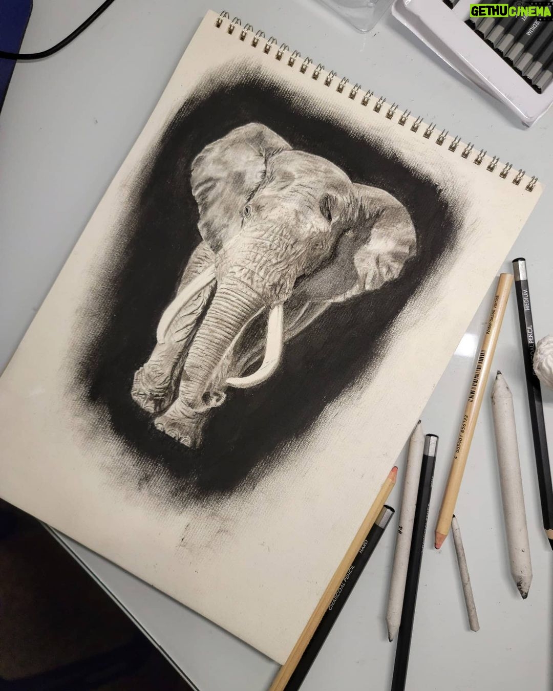 Ross Butler - 463K Likes - This was hard. Finished at 2:30am after working on it obsessively over the last four days. I am actually really proud of myself with this one. I was intimated by charcoal up until last week, but sometimes you just gotta risk it for the biscuit. Have patience and confidence in yourself and you can learn anything. Perfectionism ironically leads you away from being the more perfect you. And yeah, I like elephants, so what. ❤️