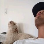 Ross Butler Instagram - howl more 2024