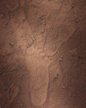 Roya Nownahali Instagram - .
اين پست را چند روز پيش گذاشته بودم. 
به خودى خود از صفحه ام پريد. دوست داشتم باشد. دوباره گذاشتم. 
#نه_حتى_رد_پايى
#سوگ#كشتى_سانچى#تسليت