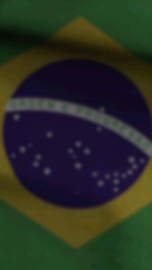 Royce Gracie Instagram - Quem luta de verdade vota
2️⃣2️⃣✅
🇧🇷🇧🇷🇧🇷

#mma #jiujitsulifestyle #somonstro

@josealdojunioroficial @fabiogurgel @alliancesp @teamnovauniao @wandfc @cyborgbjj @criscyborg @rdosanjosmma
@charlesdobronxs
@werdum @jairmessiasbolsonaro @bolsonarosp @coroneledsonraiado