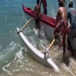 Royce Gracie Instagram - Oahu, Hawaii Thanks @islandjiujitsu @simboogy for outrigger canoe surfing. @eddierothman @kala_dacaptain @haleiwa_shark_tours for shark cage diving. @kidpeligro for the North Shore tour. @graciejiujitsukailua @tulsigabbard for the good time on the mat. @jpizzleallday for the surfing lessons.