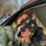Rubén Doblas Gundersen Instagram - Hoy he hecho autostop en un pueblo alejado de la mano de dios en Japon y me he montado con el perro mas majo del mundo