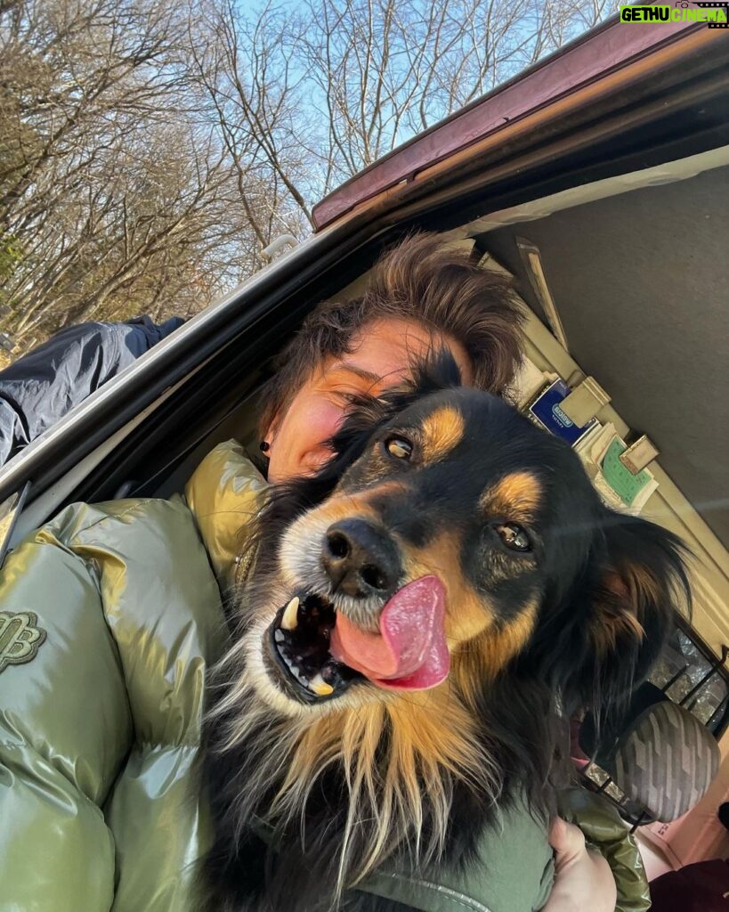 Rubén Doblas Gundersen Instagram - Hoy he hecho autostop en un pueblo alejado de la mano de dios en Japon y me he montado con el perro mas majo del mundo