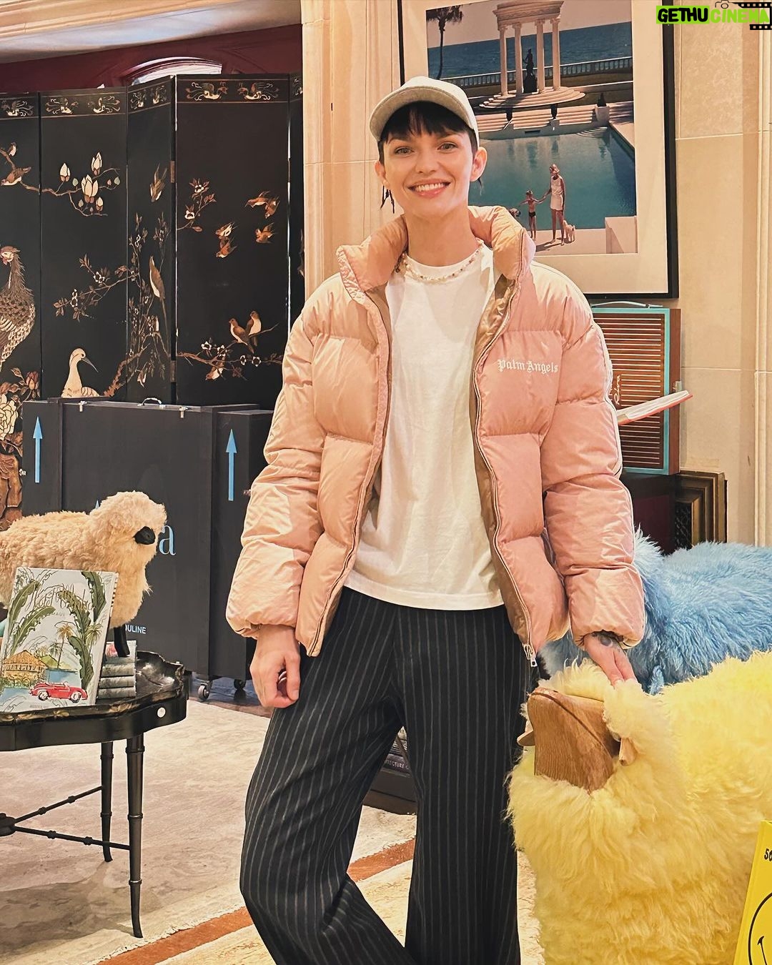 Ruby Rose Instagram - What an incredible opportunity to work and play out in NYC while staying at the iconic @theplazahotel Thank you @fairmonthotels so much for hosting me, I had such a wonderful time. Close to the Moma, Central Park and most importantly the theatres darling! I’m already missing that impossible burger and all of my new friends. When do I move in? The Plaza Hotel