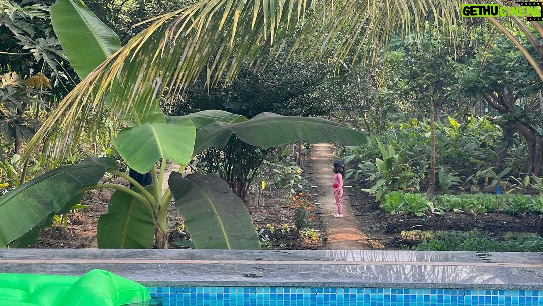 Ruchikaa Kapoor Instagram - The wildling in her natural habitatππ Glad that the farm life chose Us π π± πͺ΄ π΄ π² π π₯¬ #WeekendLife #AdventuresOfAnaya #GirlMom #FarmLife #sundayvibes #poolday