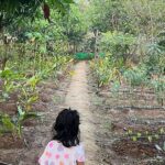 Ruchikaa Kapoor Instagram - The wildling in her natural habitat🍀😎 Glad that the farm life chose Us 🙃 🌱 🪴 🌴 🌲 🍓 🥬 #WeekendLife #AdventuresOfAnaya #GirlMom #FarmLife #sundayvibes #poolday
