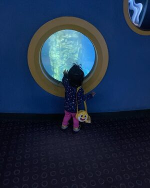 Ruchikaa Kapoor Instagram - Through the looking glass 🐬 🐋 🦈 
🤿 👶 
Anaya takes Seoul,2023
#TravelGram #babySharkDooDoo #SeoulDiaries #mine