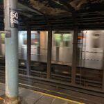 Ruth Righi Instagram - My long awaiting NY dump #i❤️ny