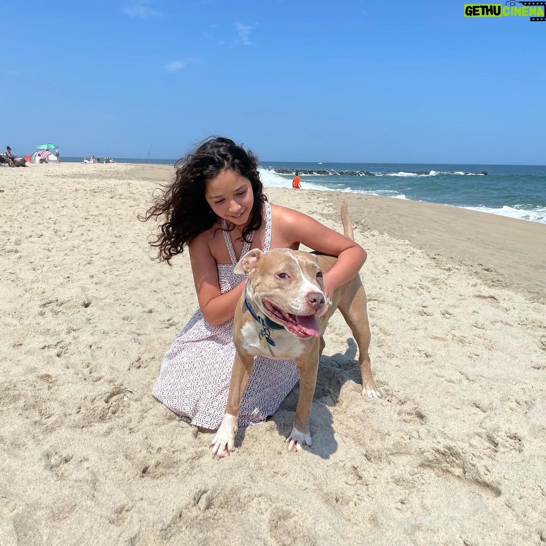 Ruth Righi Instagram - There are a lot of dogs in my camera roll