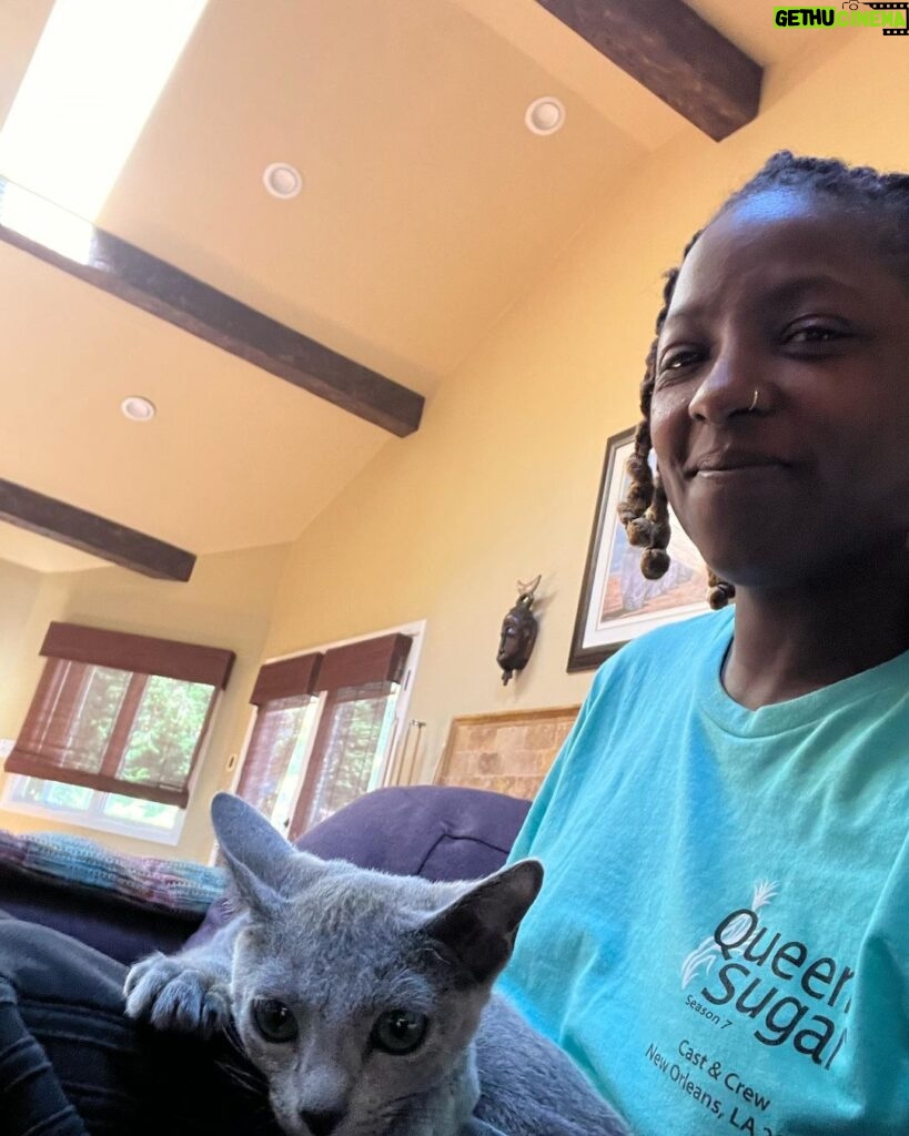 Rutina Wesley Instagram - Queen sugar is here!!! Ms. Nova Bleu….that first slide is her watching Isla, that’s been her main focus and that 2nd slide, well that’s her reaction to Isla in the room. She was like “Nah son, get your dog, get your dog son!” 😂😂😂