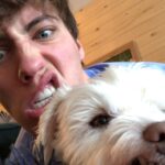 Ryan Lee Instagram - Here’s some camera roll k-9 cute for your dopamine levels. Hope everyone is having a good day ❤️🤗