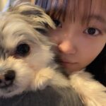 Ryo Sato Instagram – 本年も大変お世話になりました🐮
来年もどうぞよろしくお願いします🐯
年が明けてからインスタライブもやりますので、また集まってくれたら嬉しいです😊✨
日程は改めてお知らせしますね📢💫
皆さまにとって来年も素晴らしい年になりますように🧡
　
ぶぶさま＆りょう