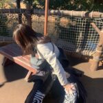 Ryo Sato Instagram – #ディズニーシー アルバム②
2枚目以降は要所要所で必ず行うストレッチタイム🦓⚡️
寒い＆立ちっぱなしで全体が凝りました🌀
１枚目はキャラメルポップコーンを永遠に食べる私を(ひとりで2箱買った)爆笑しながら激写されたところ🍿🍿
みんなでダッフィー軍団(ジェラトーニ🐱🎨とシェリーメイ🐻🎀)を連れて帰ってきました🧸
午前中はカチューシャするのがあんなに恥ずかしかったのに、夜にはダッフィーをだっこして歩いてました…これがディズニーマジックかァ🪄💫✨
次こそランドに行きたいと思います！
おしまい