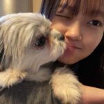 Ryo Sato Instagram – 本年も大変お世話になりました🐮
来年もどうぞよろしくお願いします🐯
年が明けてからインスタライブもやりますので、また集まってくれたら嬉しいです😊✨
日程は改めてお知らせしますね📢💫
皆さまにとって来年も素晴らしい年になりますように🧡
　
ぶぶさま＆りょう