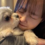 Ryo Sato Instagram – 本年も大変お世話になりました🐮
来年もどうぞよろしくお願いします🐯
年が明けてからインスタライブもやりますので、また集まってくれたら嬉しいです😊✨
日程は改めてお知らせしますね📢💫
皆さまにとって来年も素晴らしい年になりますように🧡
　
ぶぶさま＆りょう
