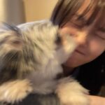 Ryo Sato Instagram – 本年も大変お世話になりました🐮
来年もどうぞよろしくお願いします🐯
年が明けてからインスタライブもやりますので、また集まってくれたら嬉しいです😊✨
日程は改めてお知らせしますね📢💫
皆さまにとって来年も素晴らしい年になりますように🧡
　
ぶぶさま＆りょう