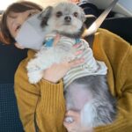 Ryo Sato Instagram - 数年前の家族旅行🐕‍🦺 寒い時期の軽井沢❄️ 寝起きのお昼ご飯🍽
